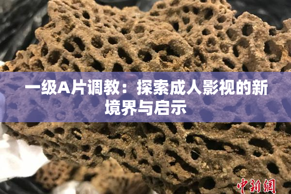 一级A片调教：探索成人影视的新境界与启示