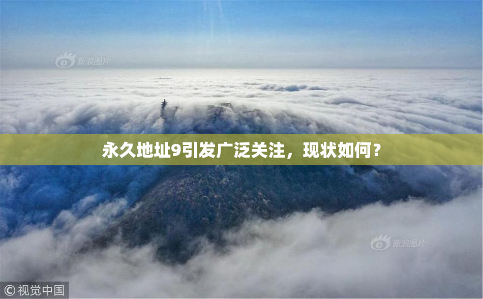 永久地址9引发广泛关注，现状如何？