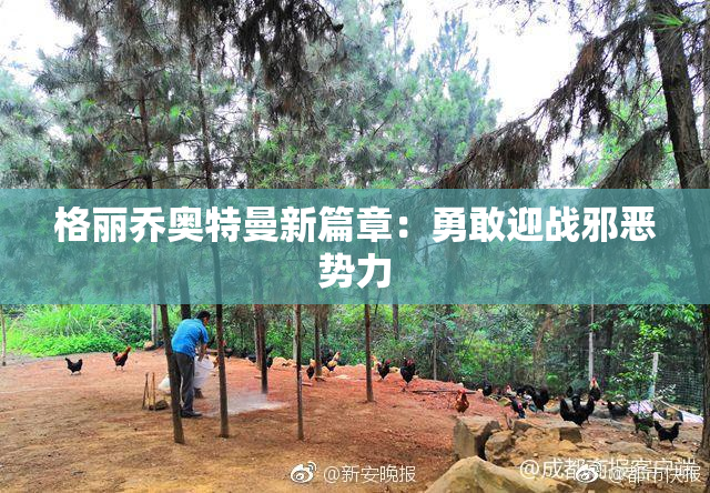 格丽乔奥特曼新篇章：勇敢迎战邪恶势力