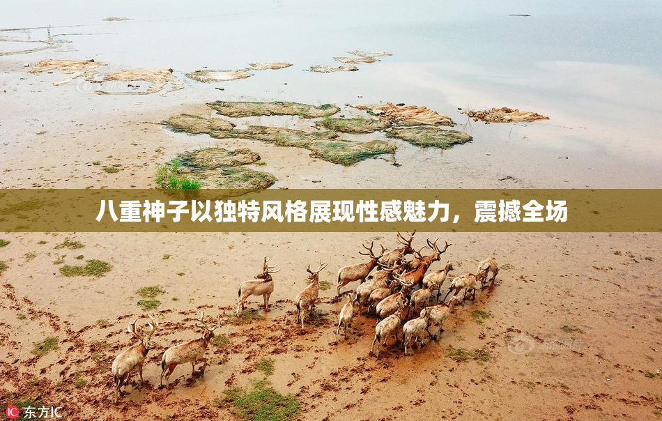 八重神子以独特风格展现性感魅力，震撼全场