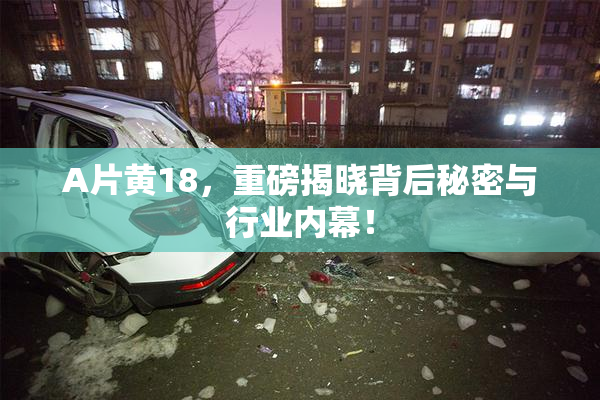 A片黄18，重磅揭晓背后秘密与行业内幕！