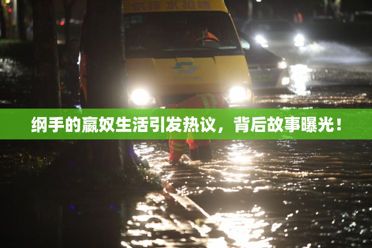 纲手的嬴奴生活引发热议，背后故事曝光！