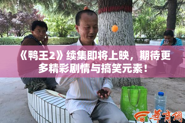 《鸭王2》续集即将上映，期待更多精彩剧情与搞笑元素！