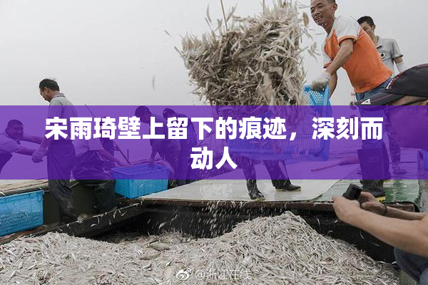 宋雨琦壁上留下的痕迹，深刻而动人