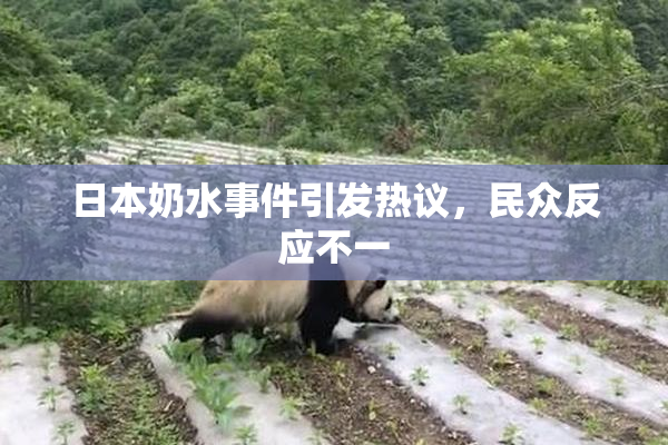 日本奶水事件引发热议，民众反应不一