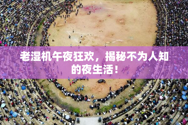 老湿机午夜狂欢，揭秘不为人知的夜生活！