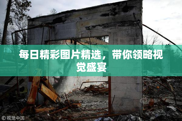 每日精彩图片精选，带你领略视觉盛宴