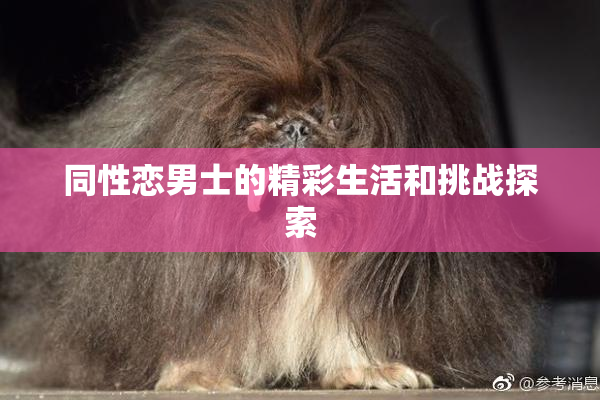 同性恋男士的精彩生活和挑战探索