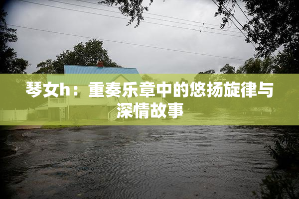 琴女h：重奏乐章中的悠扬旋律与深情故事