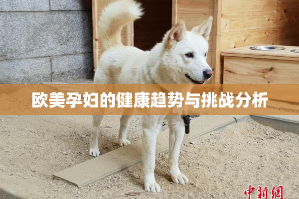 欧美孕妇的健康趋势与挑战分析