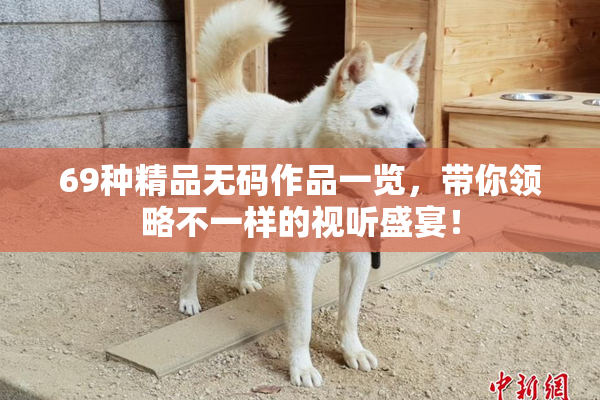 69种精品无码作品一览，带你领略不一样的视听盛宴！