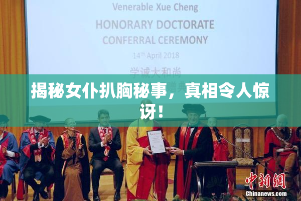 揭秘女仆扒胸秘事，真相令人惊讶！