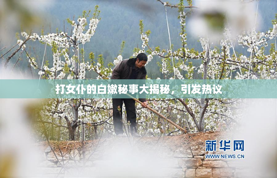 打女仆的白嫩秘事大揭秘，引发热议