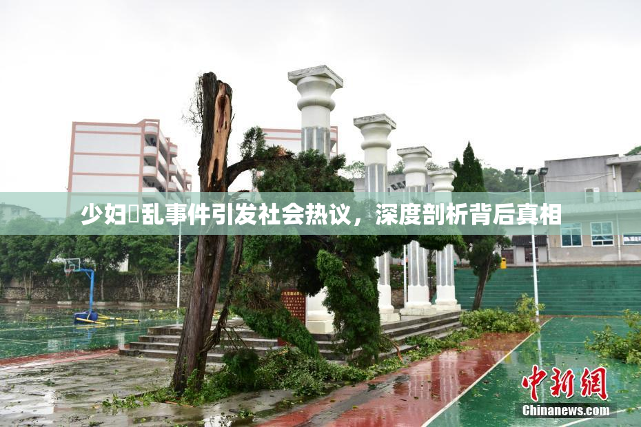 少妇婬乱事件引发社会热议，深度剖析背后真相