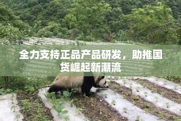 全力支持正品产品研发，助推国货崛起新潮流