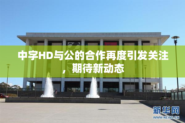 中字HD与公的合作再度引发关注，期待新动态