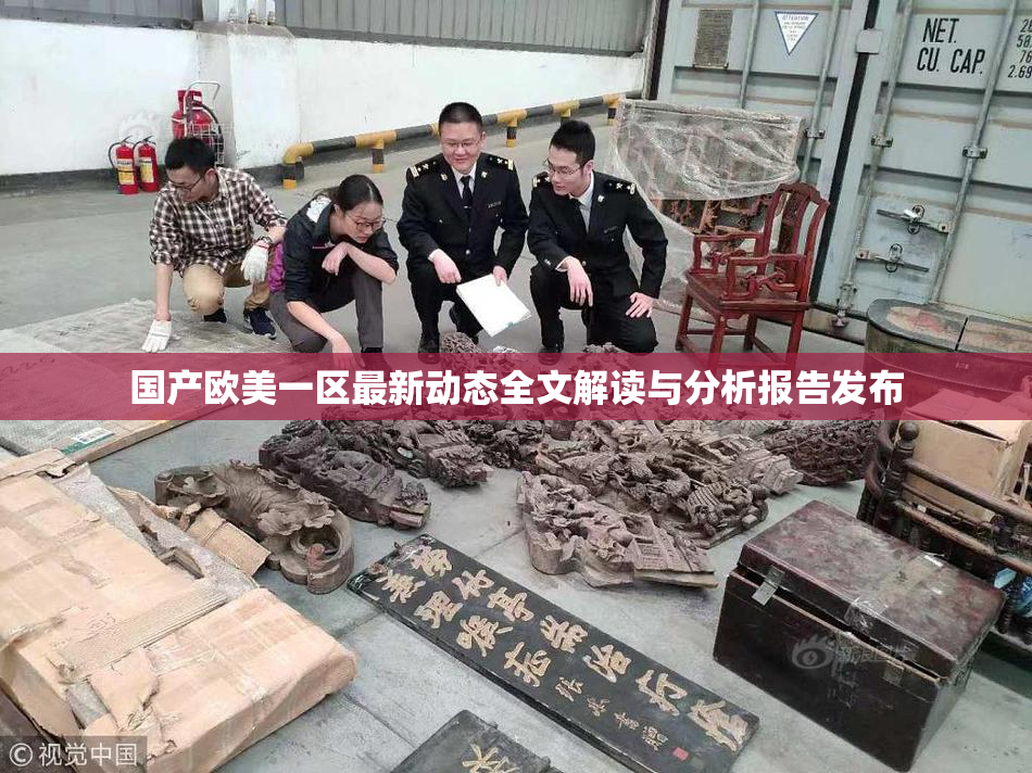 国产欧美一区最新动态全文解读与分析报告发布