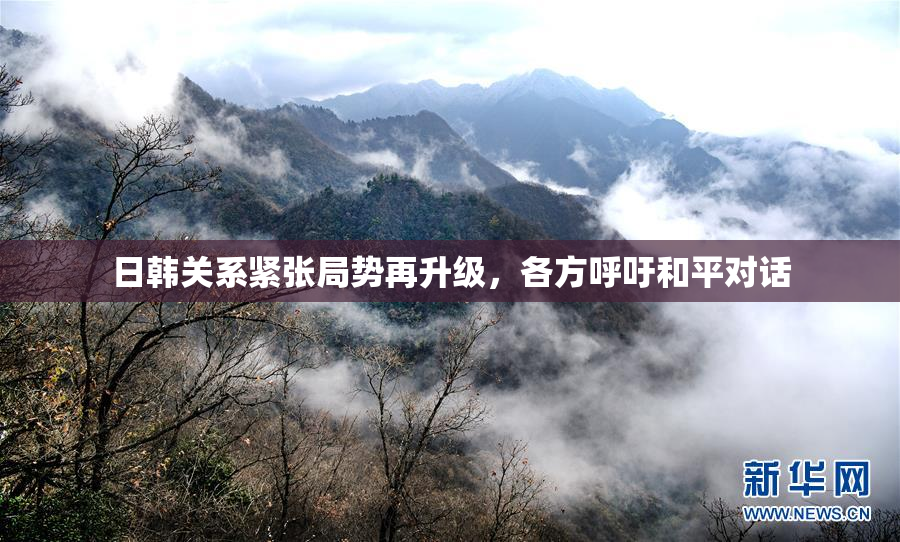 日韩关系紧张局势再升级，各方呼吁和平对话