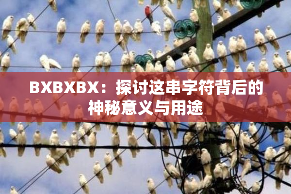 BXBXBX：探讨这串字符背后的神秘意义与用途