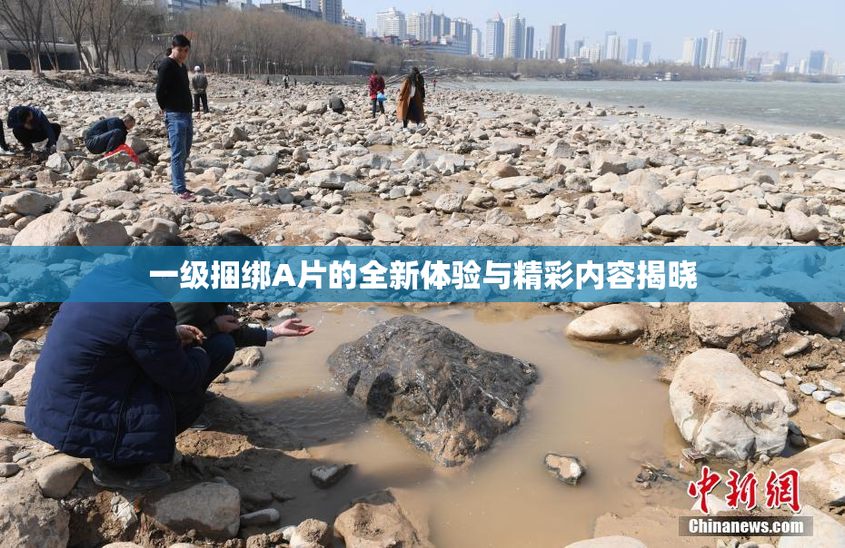 一级捆绑A片的全新体验与精彩内容揭晓