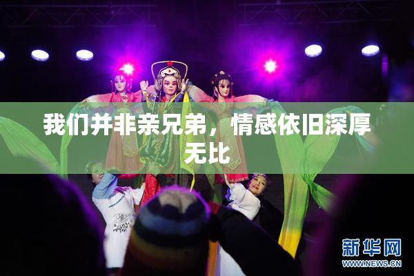 我们并非亲兄弟，情感依旧深厚无比