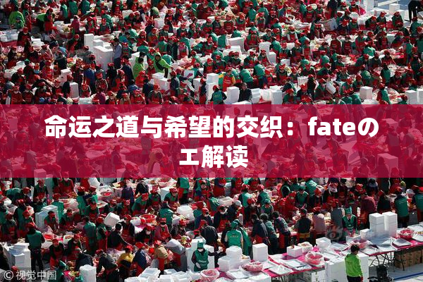 命运之道与希望的交织：fateのエ解读