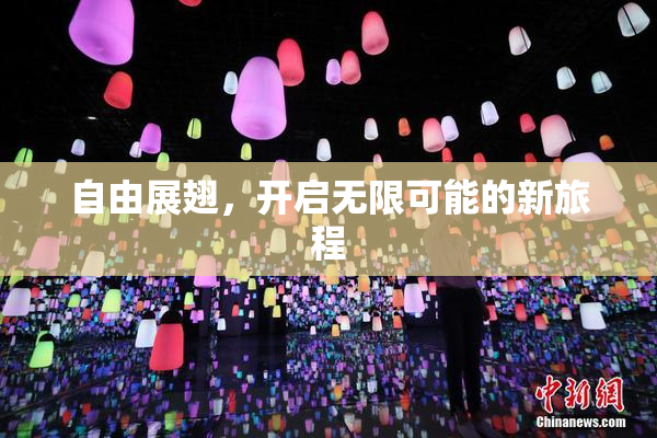 自由展翅，开启无限可能的新旅程