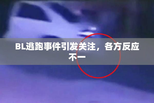 BL逃跑事件引发关注，各方反应不一