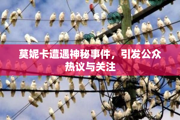 莫妮卡遭遇神秘事件，引发公众热议与关注