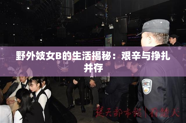 野外妓女B的生活揭秘：艰辛与挣扎并存