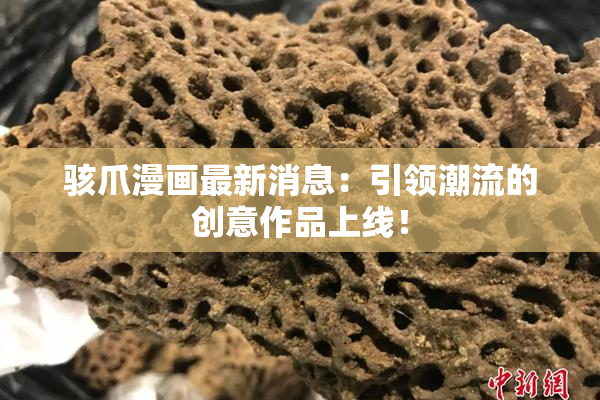 骇爪漫画最新消息：引领潮流的创意作品上线！