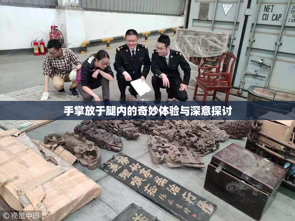 手掌放于腿内的奇妙体验与深意探讨