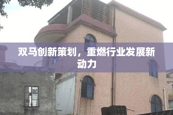 双马创新策划，重燃行业发展新动力