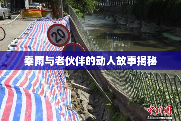 秦雨与老伙伴的动人故事揭秘