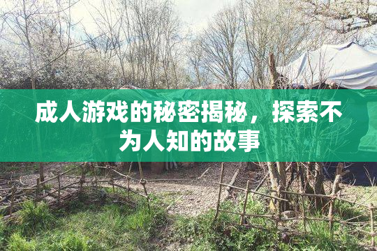 成人游戏的秘密揭秘，探索不为人知的故事