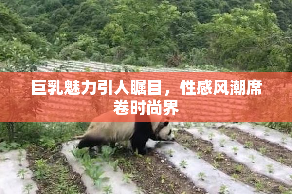 巨乳魅力引人瞩目，性感风潮席卷时尚界