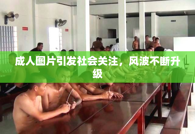成人图片引发社会关注，风波不断升级
