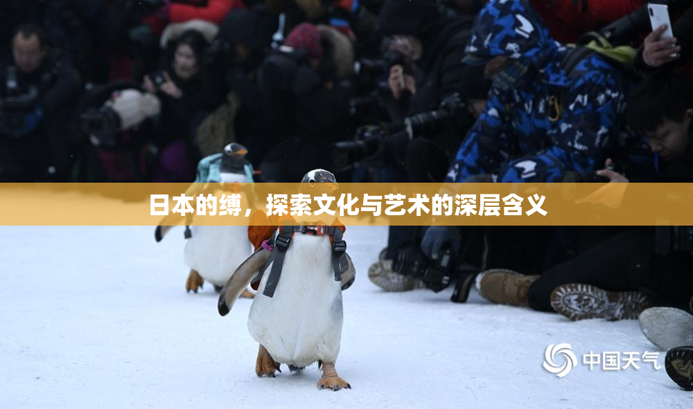 日本的缚，探索文化与艺术的深层含义