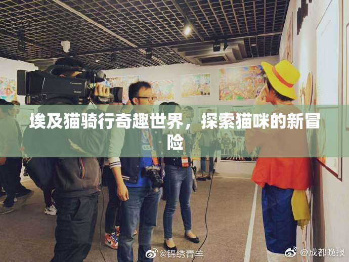 埃及猫骑行奇趣世界，探索猫咪的新冒险