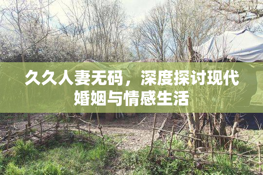 久久人妻无码，深度探讨现代婚姻与情感生活