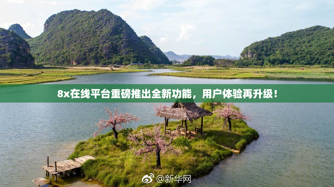 8x在线平台重磅推出全新功能，用户体验再升级！