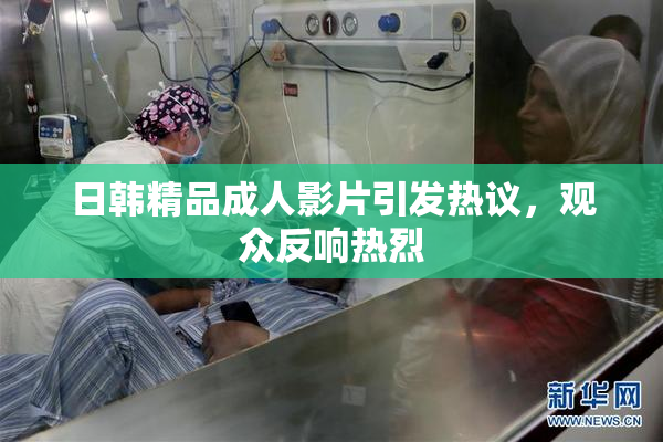 日韩精品成人影片引发热议，观众反响热烈