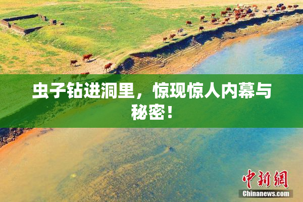 虫子钻进洞里，惊现惊人内幕与秘密！