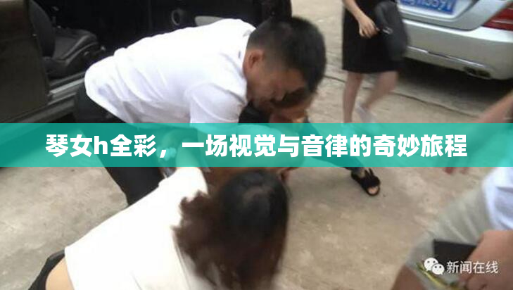 琴女h全彩，一场视觉与音律的奇妙旅程