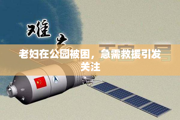 老妇在公园被困，急需救援引发关注