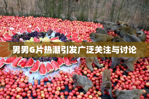 男男G片热潮引发广泛关注与讨论