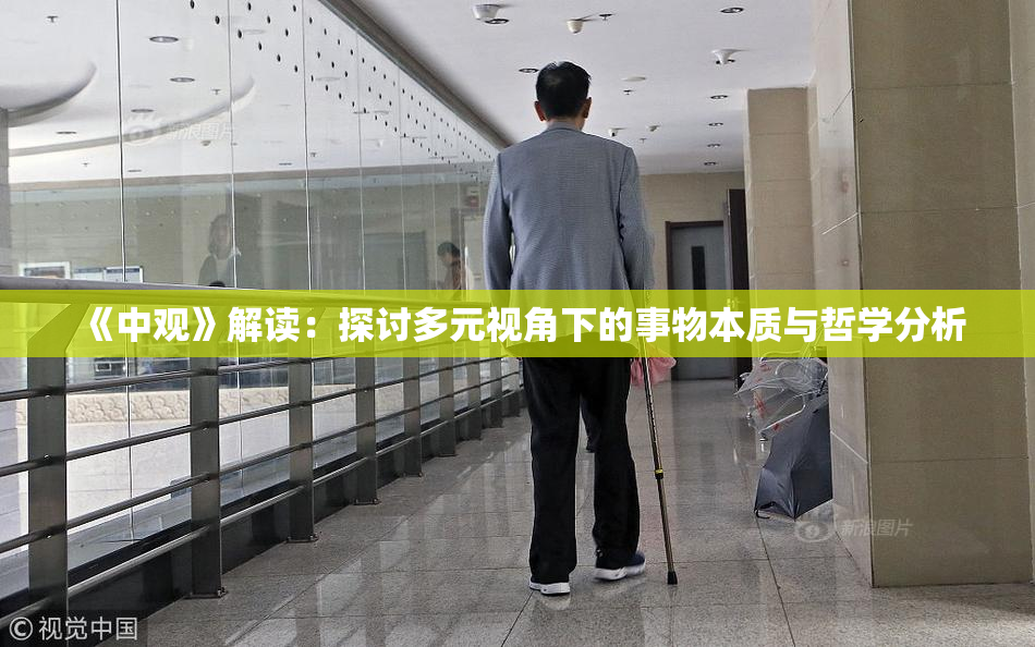 《中观》解读：探讨多元视角下的事物本质与哲学分析