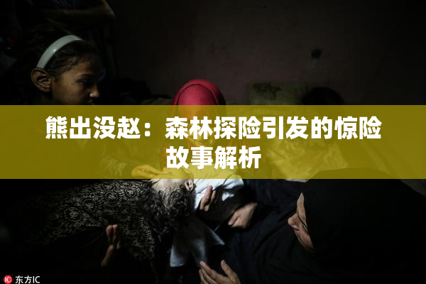 熊出没赵：森林探险引发的惊险故事解析