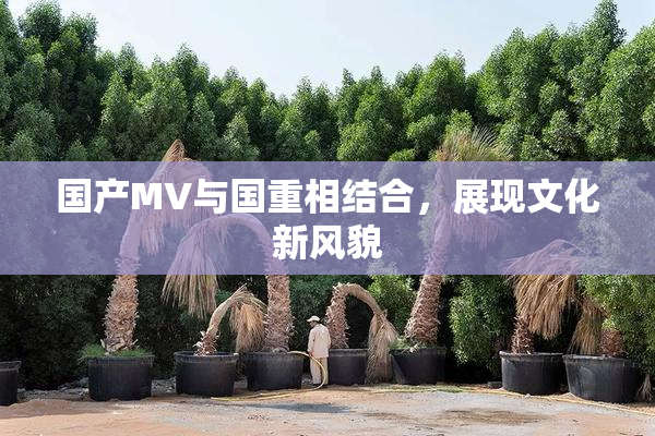 国产MV与国重相结合，展现文化新风貌