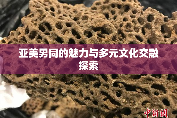 亚美男同的魅力与多元文化交融探索
